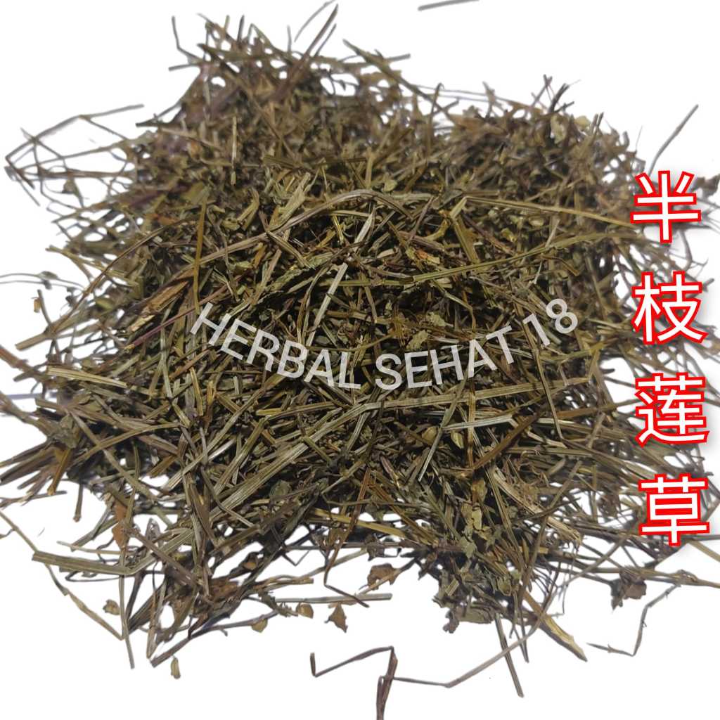 

100 gram - Ban Zhi Lian Cao 半枝莲草 Pan Ce Lien / Radix Scutellariae Barbatae