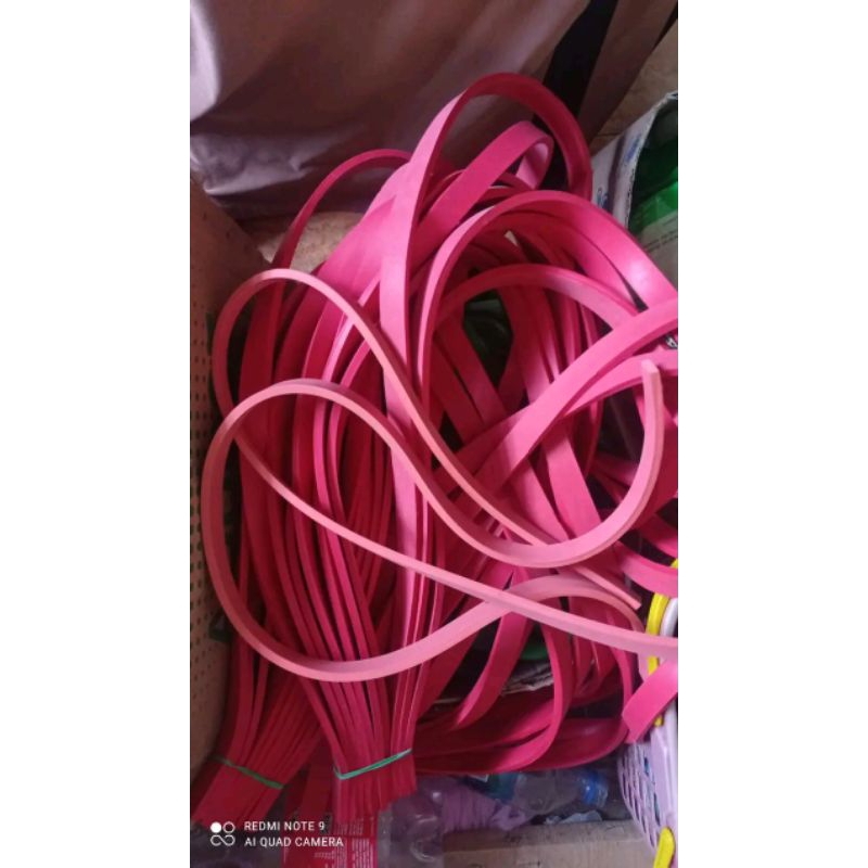 Karet pipih panah ikan