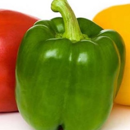 

Ready Paprika Hijau Kuning Merah Organik 5g Organic Bell Pepper 5g 6