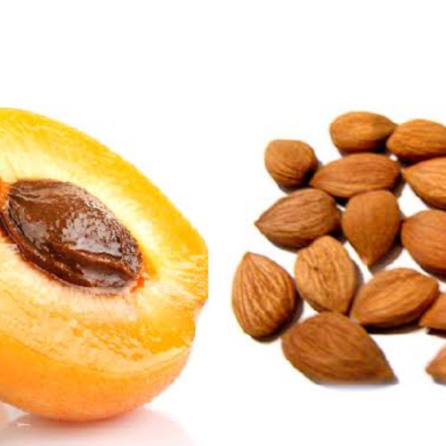 

Best terlaris Organic Bitter Apricot 5gr 1gr IZE