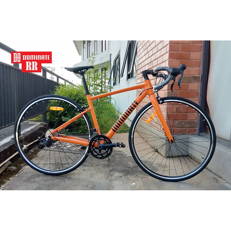 Sepeda Balap ROADBIKE DOMINATE RR 20 SPEED ALLOY 700C