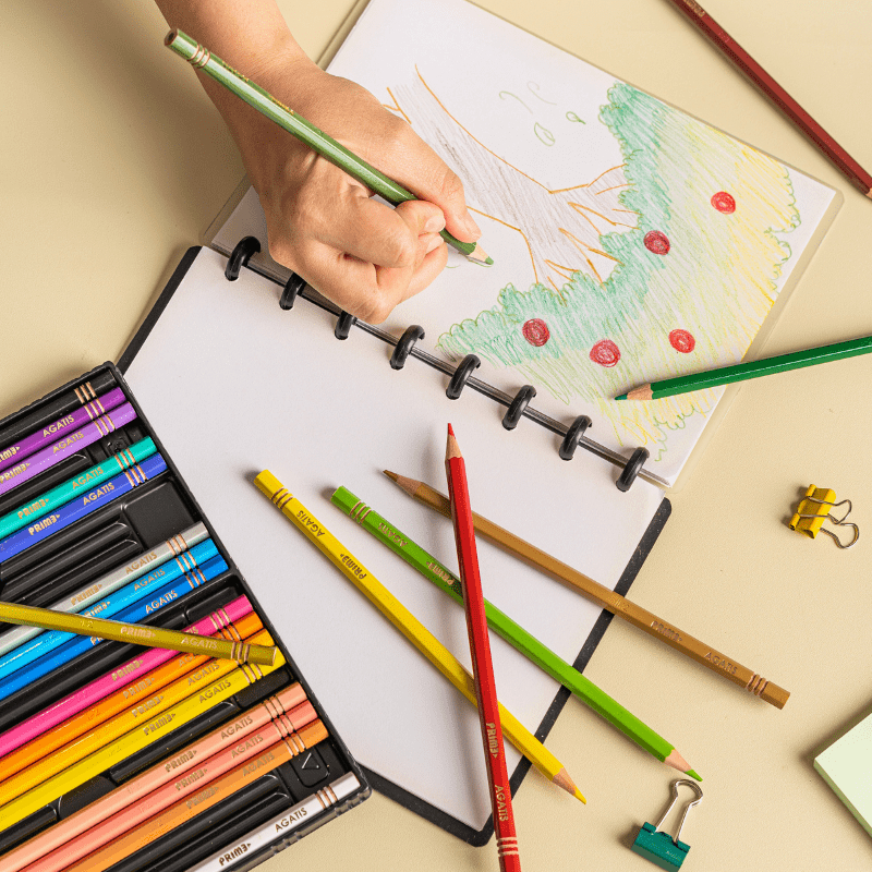 

AGATIS - PENSIL WARNA PRIME 24 WARNA