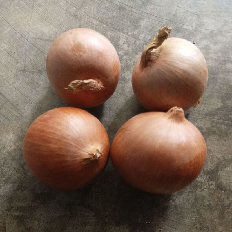 

Bombay ( besar ) 1 kg