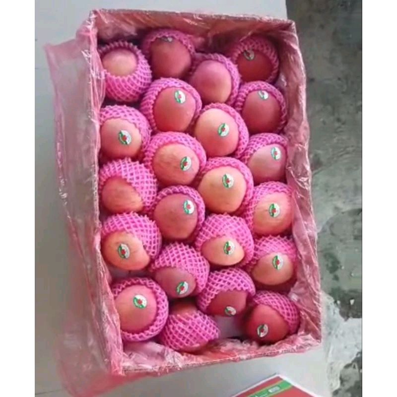 

Apel Red Fuji