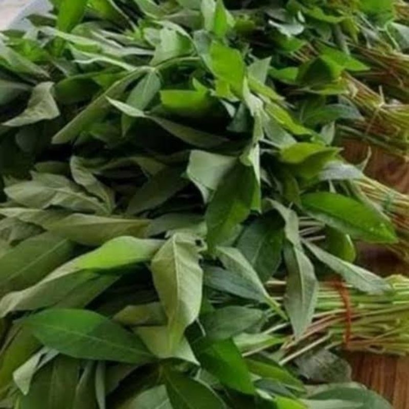 

Daun Singkong Segar per ikat | diambil dadakan