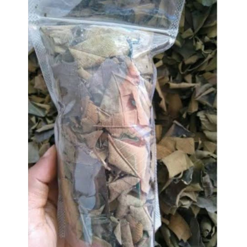 

Daun jati jawa kering / teh daun jati kering-az