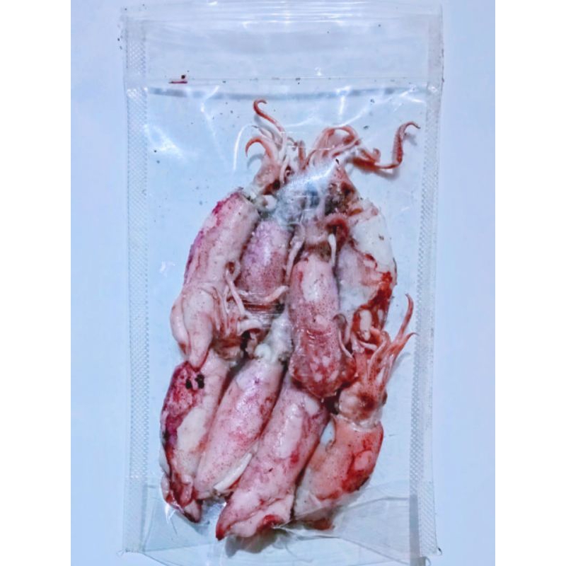 

asin cumi sotong kualitas 1