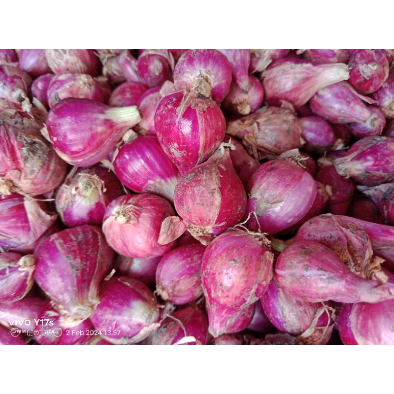 

Bawang merah asli Brebes 250gram