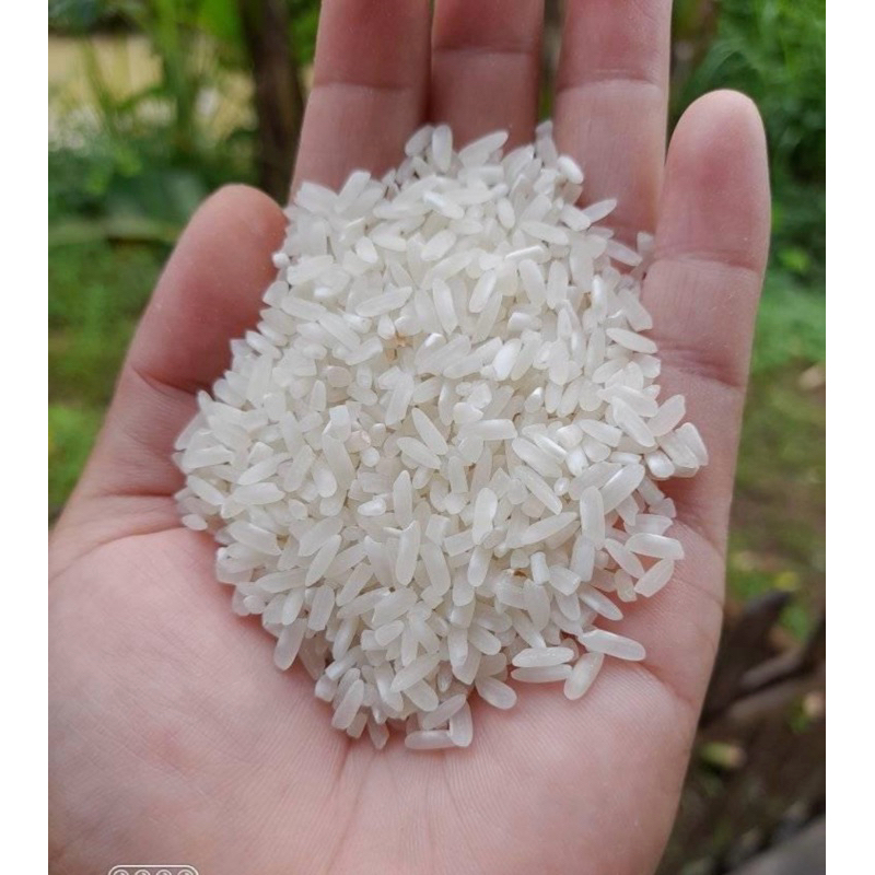 

jembar rahayu Medium