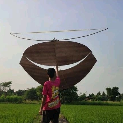 Layangan Gapangan Pegon Sayap 2 meter sudah diseting terbang