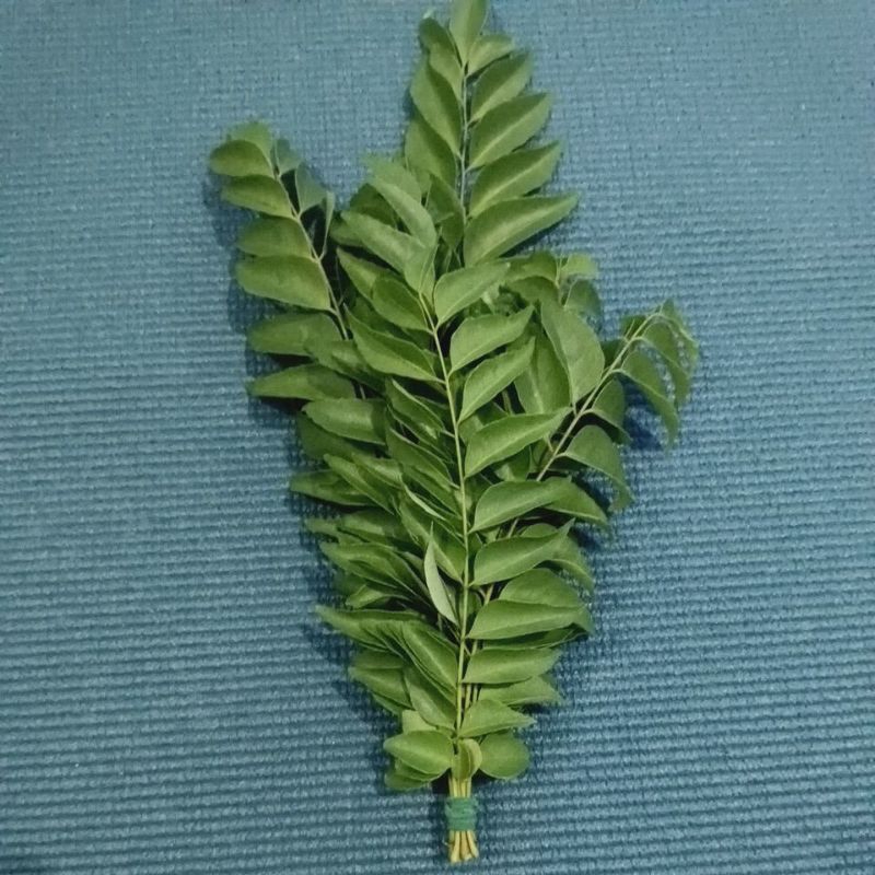 

Daun Kari