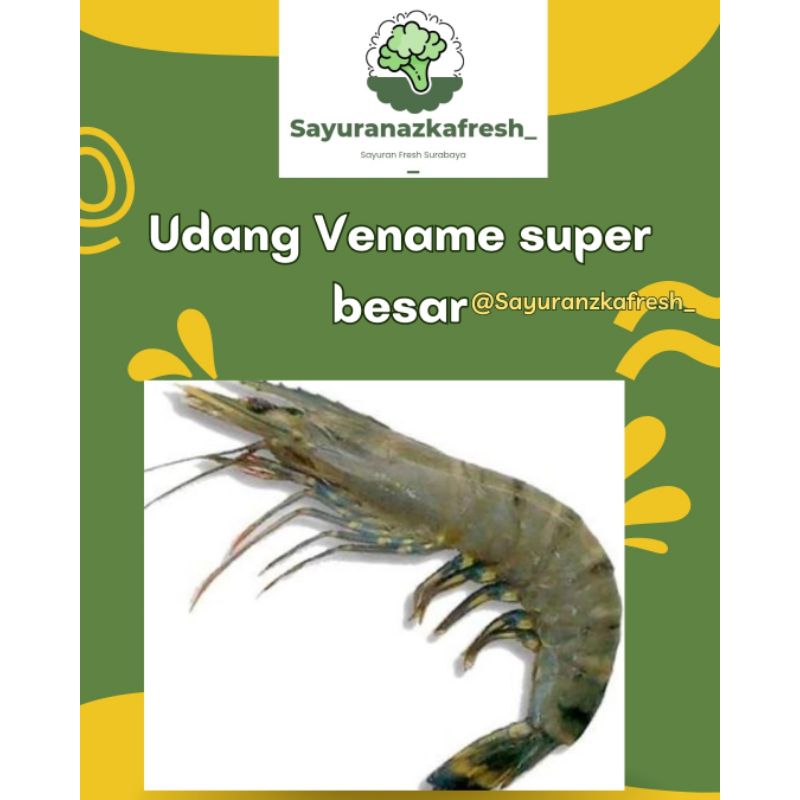 

Udang Vename Super Besar [±1kg]