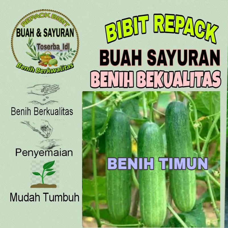 5 BENIH TIMUN (PANAH MERAH) Repacking