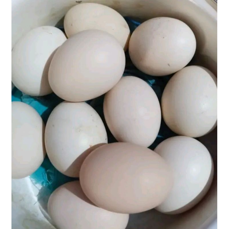 

telur ayam kampung tembean
