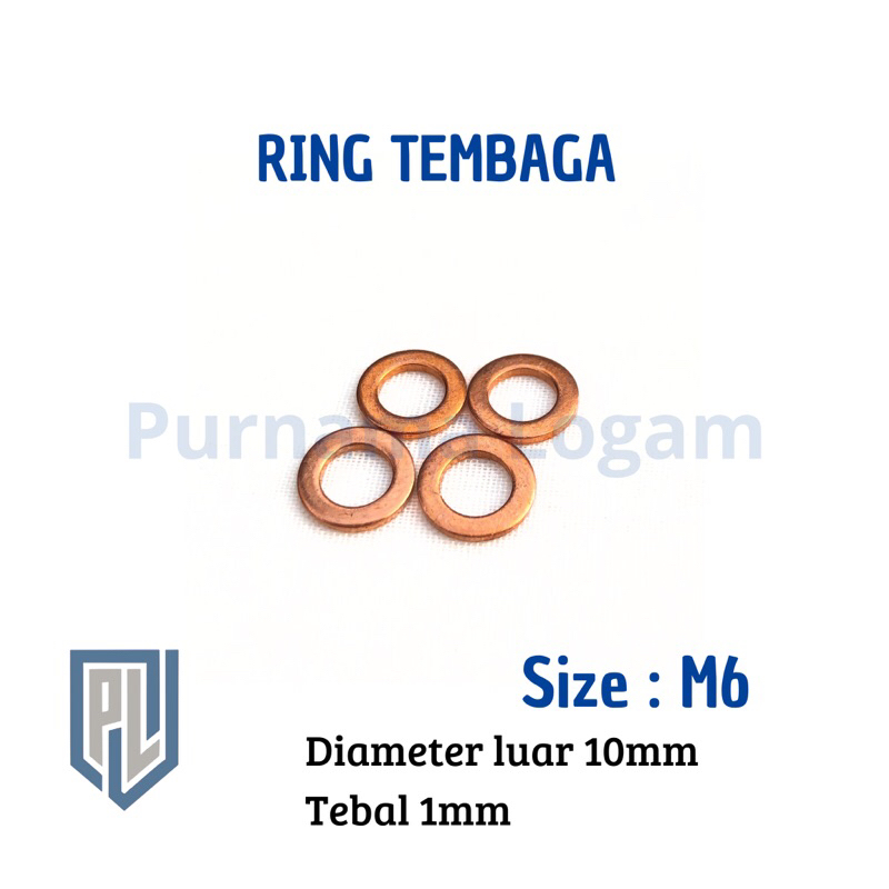 RING TEMBAGA M6 x 10