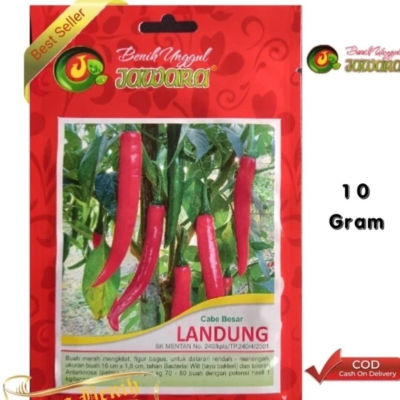 Benih Cabe Merah Besar LANDUNG isi 10 Gr Bibit Cabe merah besar Produk Benih Unggul JAWARA