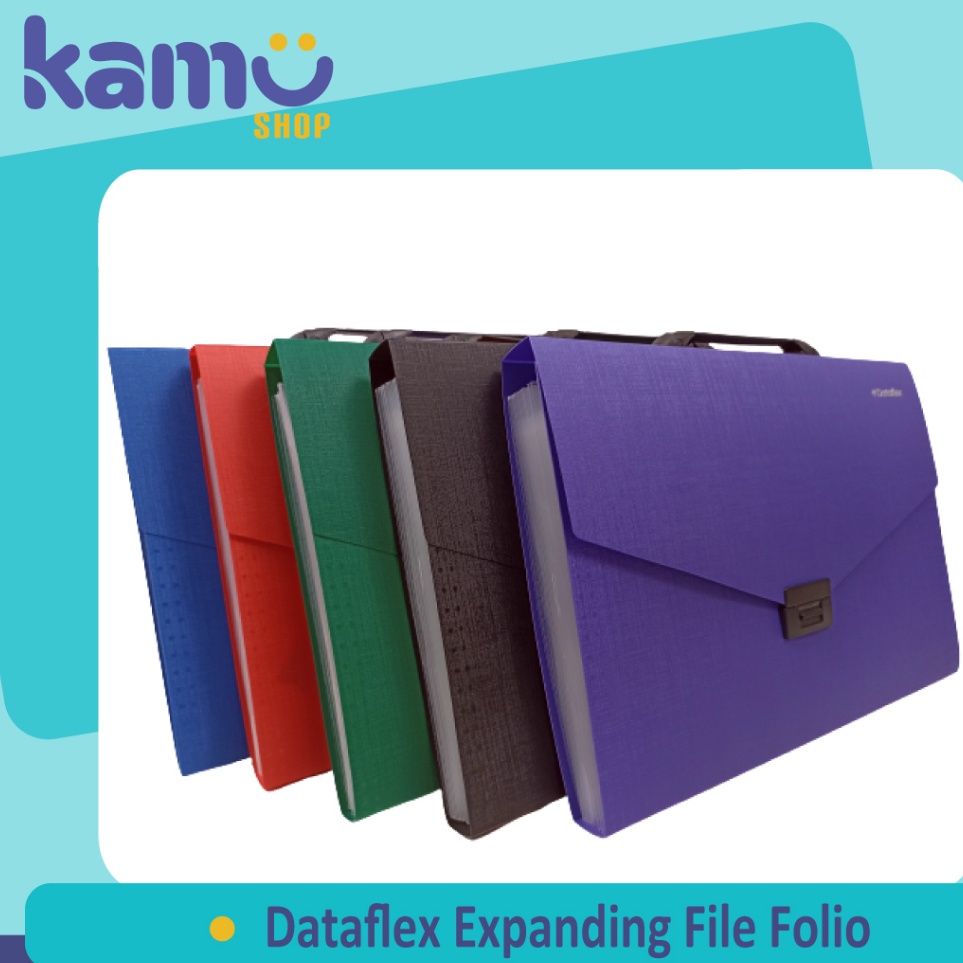 

Dataflex Expanding File Folio DF 231