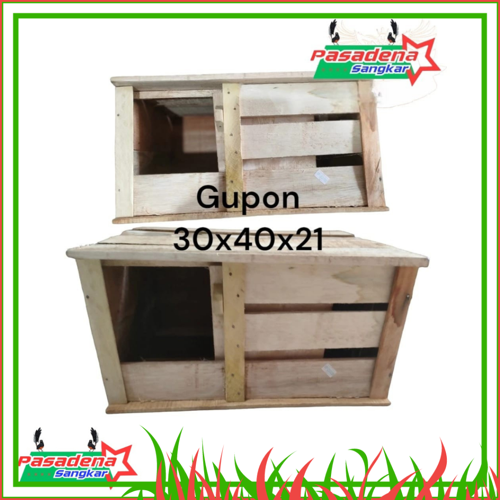 Gupon Sipil Burung Merpati Dara Model Kotak Kandang Merpati