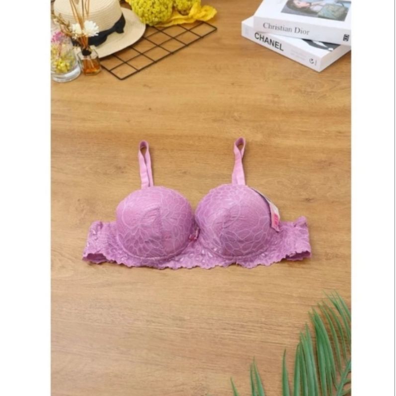 Bra BH Busa Tebal Pakai Kawat Kait 3/Bra Cantik Super Montok Push Up Cup C Besar