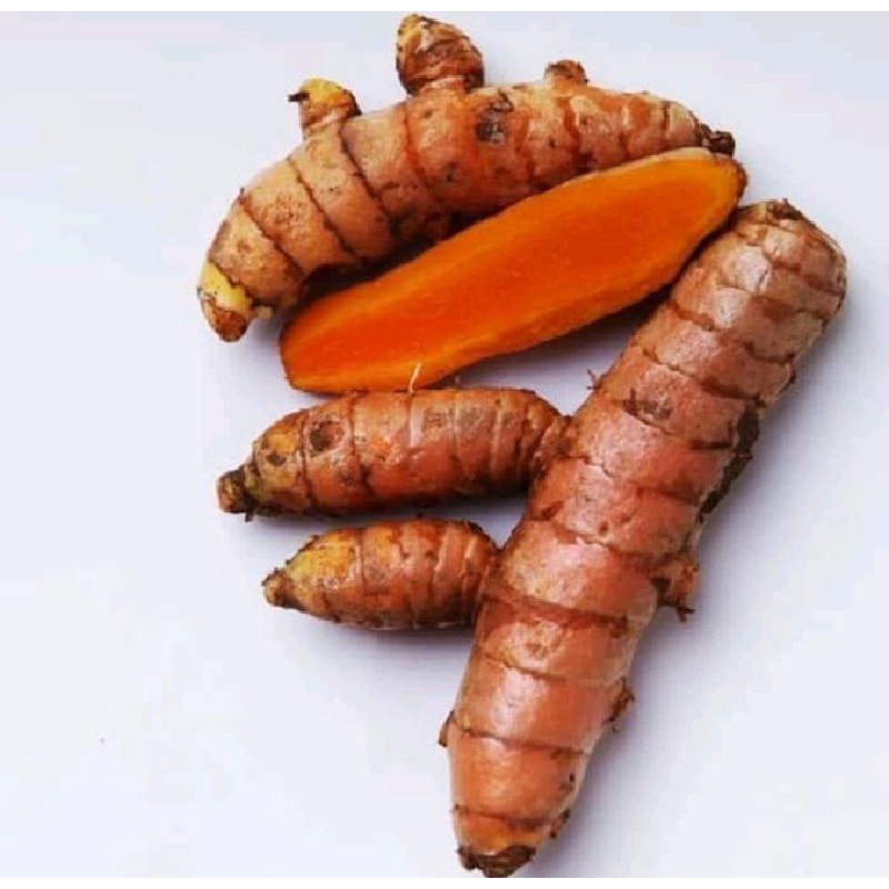 

KUNYIT ASLI SEGAR 1KG