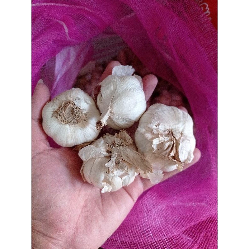 

Bawang Putih Termurah 1/2kg