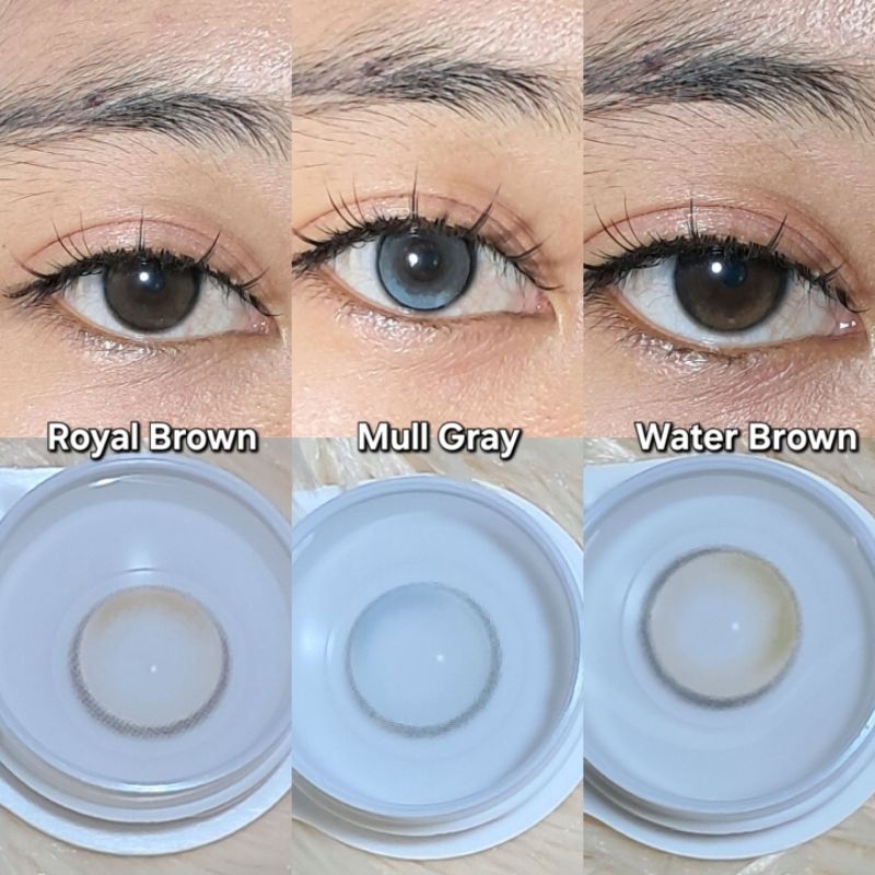 SOFTLENS CECILE DIA 14MM