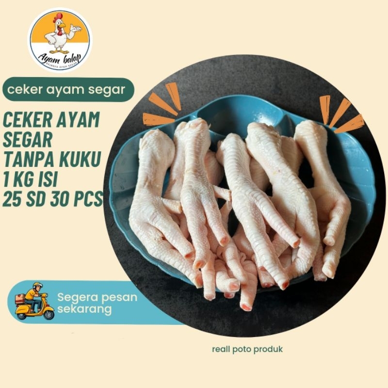 

ceker ayam besar sedang / ceker segar / kaki ayam boiler/ ceker baru / ayam segar