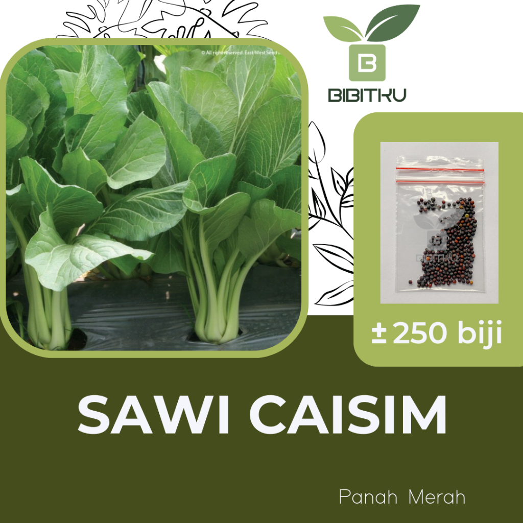 Benih Sawi Caisim Shinta Panah Merah