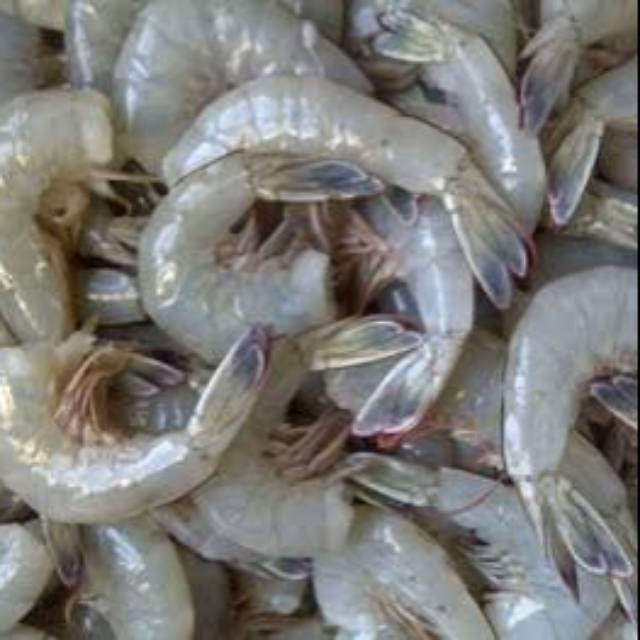 

Tosa SS_Udang Sedang - 250gr