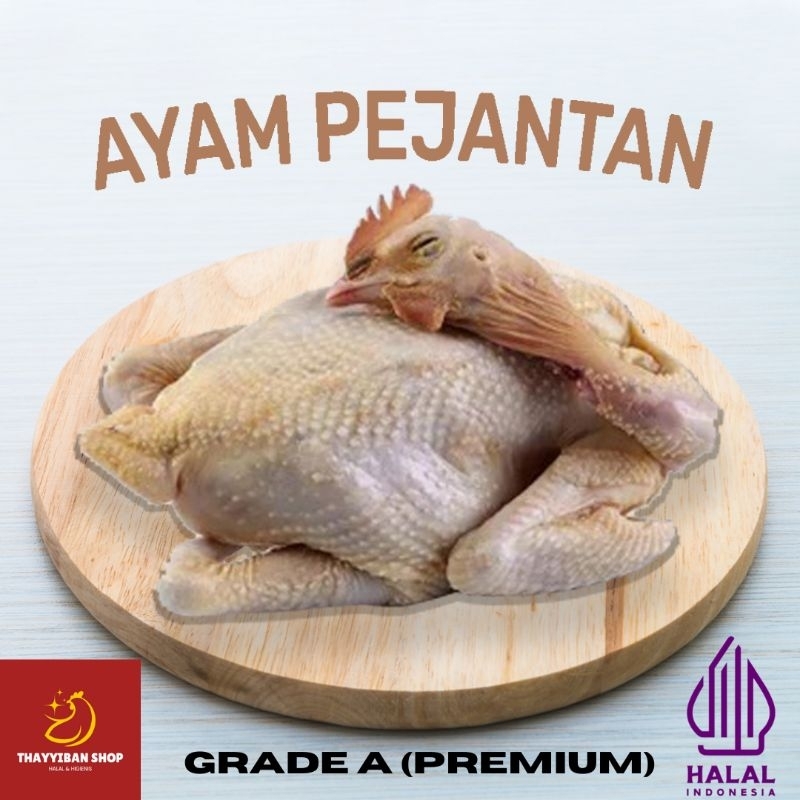 

AYAM PEJANTAN / KALASAN POTONG UTUH (QTY: 1 EKOR) 0.7 -0.8 KG