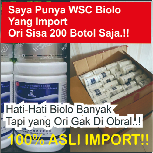 Wsc Pelangsing Biolo Asli Import Original 100%