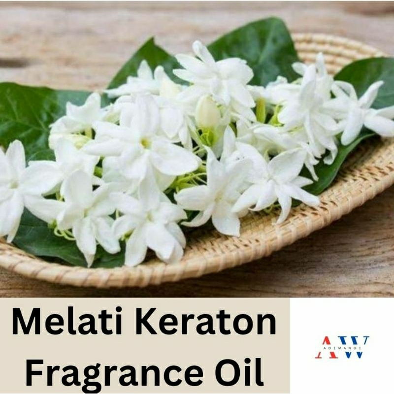 Melati Keraton Fragrance Oil Bibit Parfum Bunga Melati Keraton
