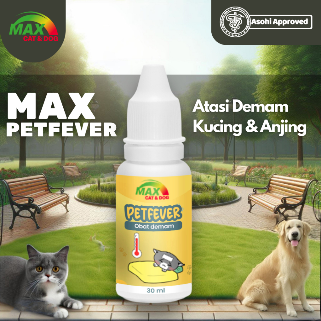 Max Petfever | Obat Demam Untuk Kucing