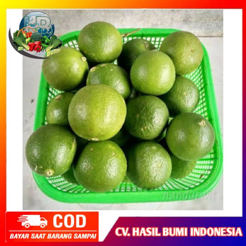 

Jeruk nipis peras segar 1kg buah fresh