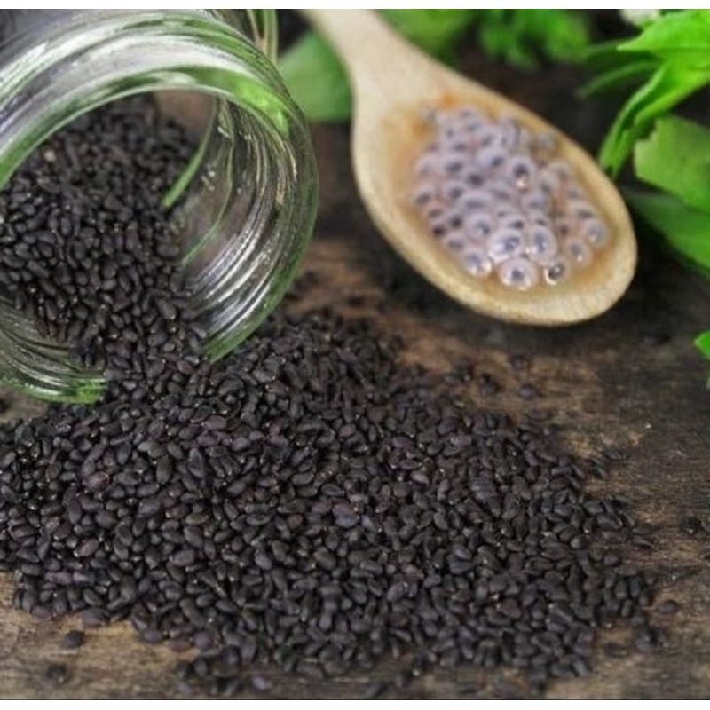 

Biji Selasih Basil Seed Impor Premium High Quality