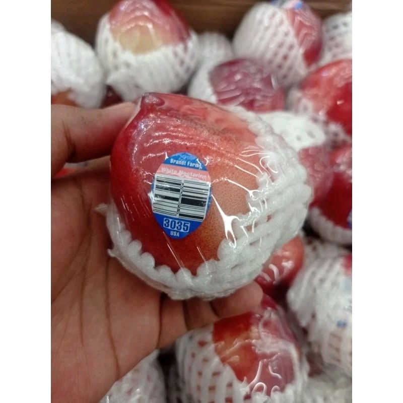 

BUAH NECTARINE WHITE FRESH IMPORT USA 1 KG