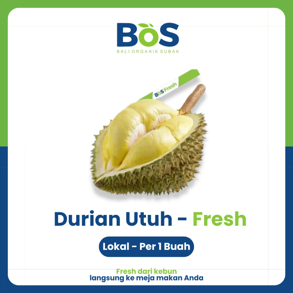 

Buah Durian Utuh 1 Buah - Bos Fresh