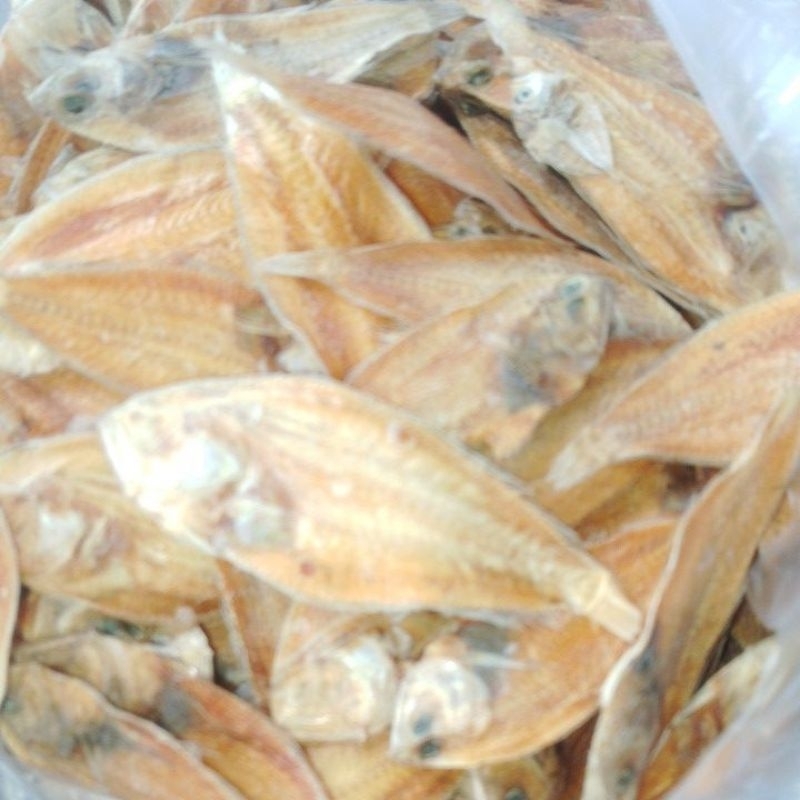 

ikan kerring tipis