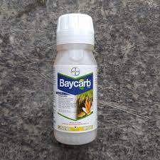 Baycarb 500EC Insektisida 100 ML