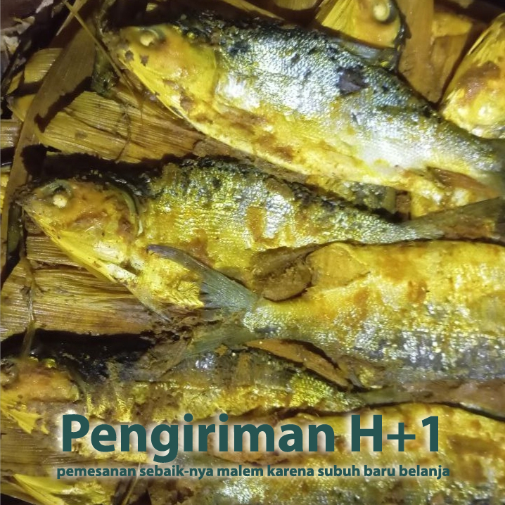 

ikan bandeng ukuran sedang