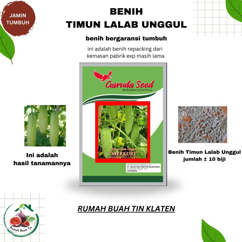 BENIH TIMUN LALAP UNGGUL