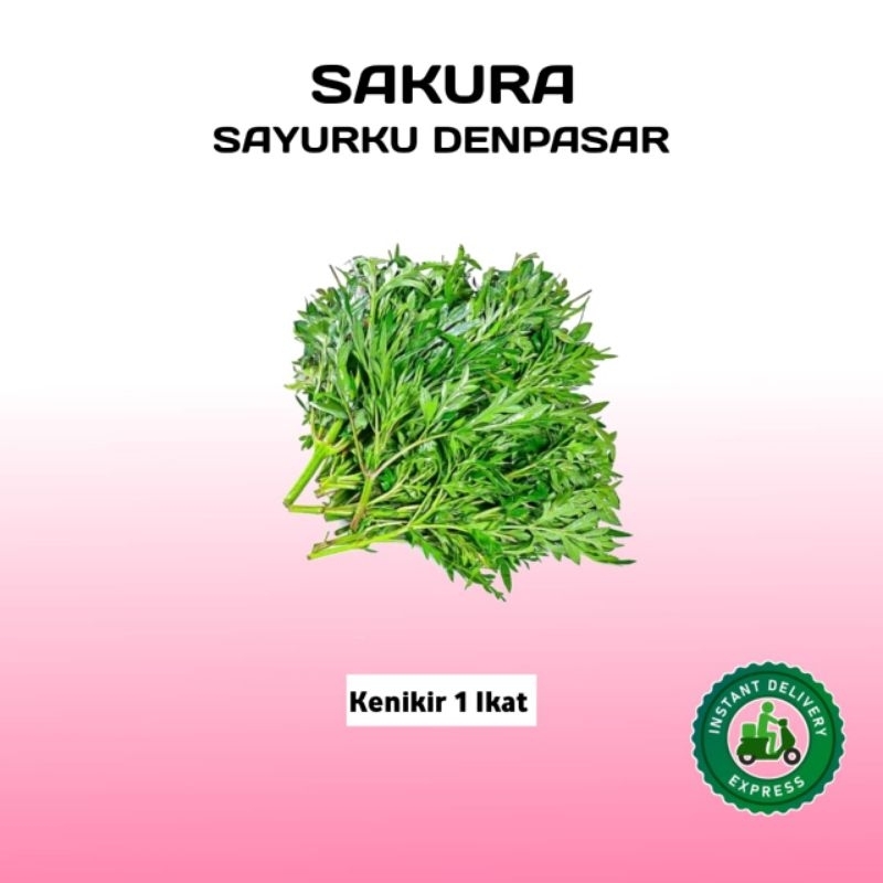 

Kenikir 1 Ikat - SAKURA