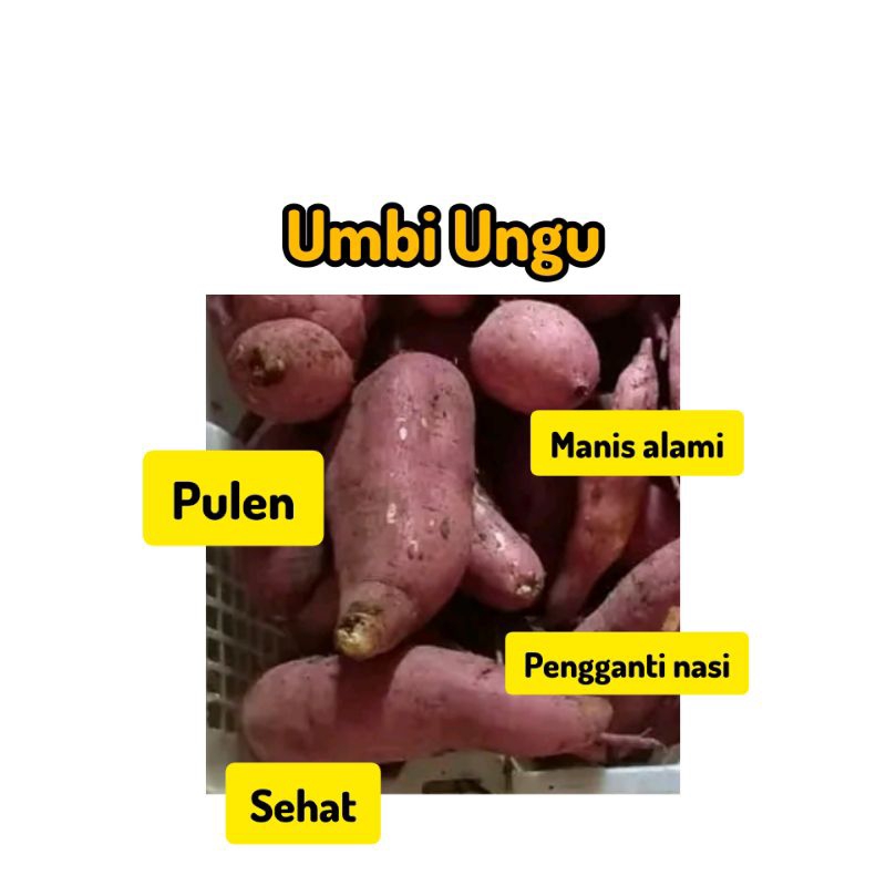 

Umbi Ungu 500gr