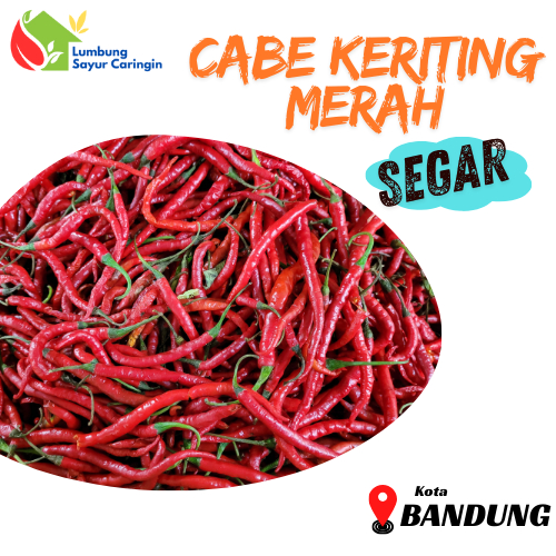 

Cabe Kriting Merah Segar Bandung