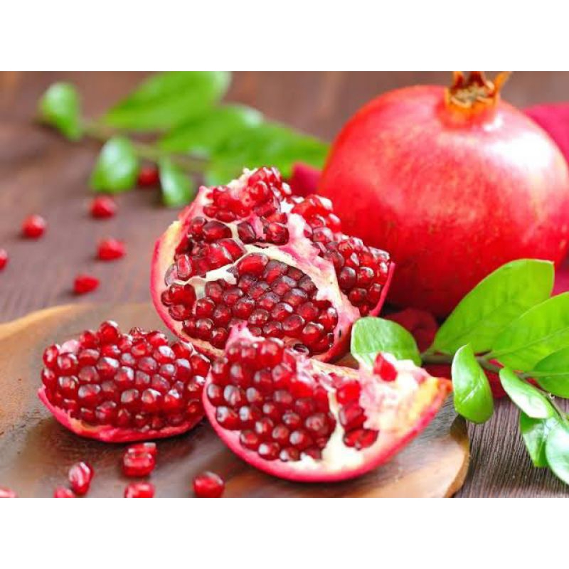 bibit delima merah | delima merah | bibit buah delima merah | asal biji