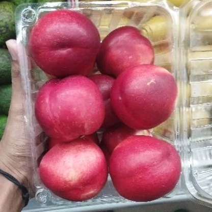 

BUAH NECTARINE WHITE IMPORT USA SUPER PREMIUM GIFT PACK 900 GRAM