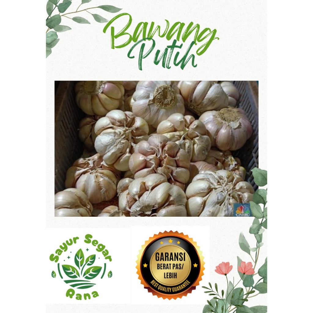 

Bawang Putih 100 Gram