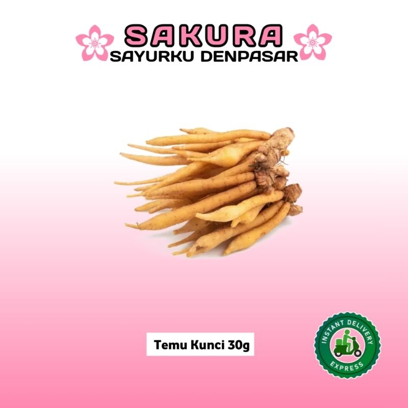 

Temu Kunci 25g - SAKURA