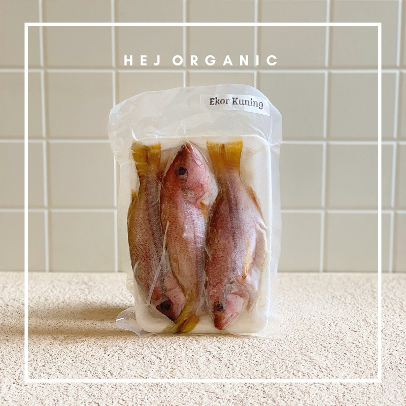 

Ikan Ekor Kuning Natural