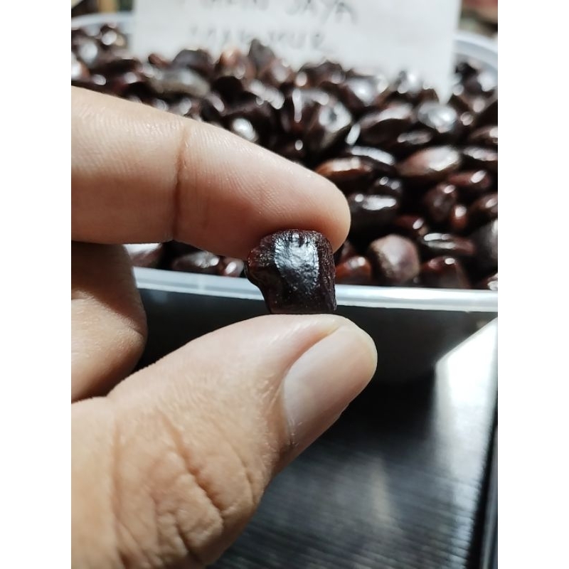 

Biji Asam Jawa (Asem Jawa) Besar, cocok untuk bonsai!!!